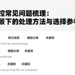 新手风控常见问题梳理不同场景下的处理方法与选择参考